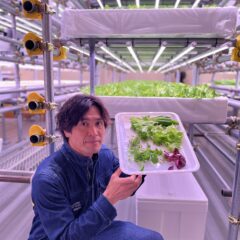 【ベビーリーフ】何の野菜？洗うべき？栄養は？| 手軽・安全・新鮮な｢室内型水耕栽培」